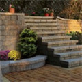 Brighten Up Your Backyard for Under $50