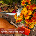 How to Prepare Your Garden this Fall