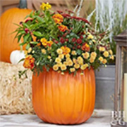 DIY Outdoor Fall Decor