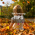 Fall Landscaping Tips 
