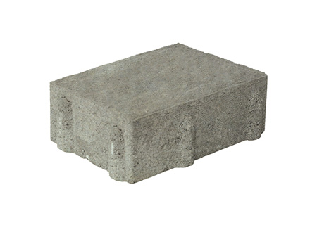 Crusader - Actual Size (inches)<br />6 x 9