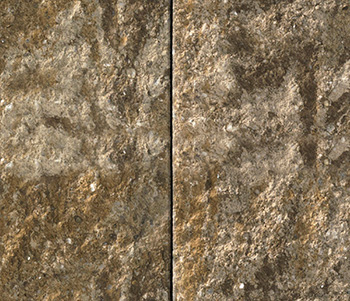 Sahara/Chestnut/Lite