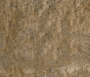 Sahara/Chestnut/Lite