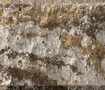 Sahara/Chestnut/Lite