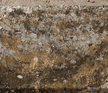 Sahara/Chestnut/Lite