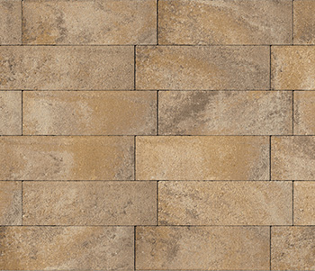 Sahara/Chestnut/Lite