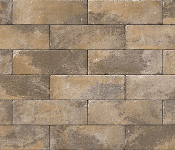 Sahara/Chestnut/Lite